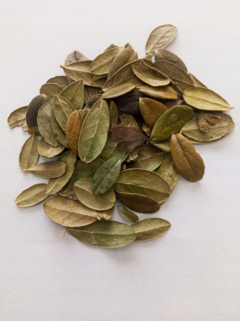 Borówka brusznica liść 50g Ziolowe_podlasie MAGROU Borówka brusznica liść 50g Ziolowe_podlasie MAGROU