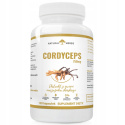 Cordyceps 40% ekstrakt z owocni maczużnika 120 kapsułek