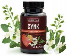 Cynk 3 formy: miedź, EGCG, kwercytyna NA 60 DNI Skoczylas