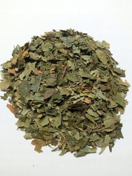 Liść Brzozy 50g Magrou