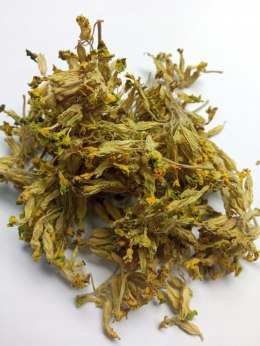 Pierwiosnek kwiat 20g Magrou