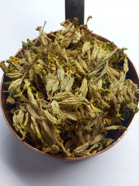 Pierwiosnek kwiat 20g Magrou Pierwiosnek kwiat 20g Magrou