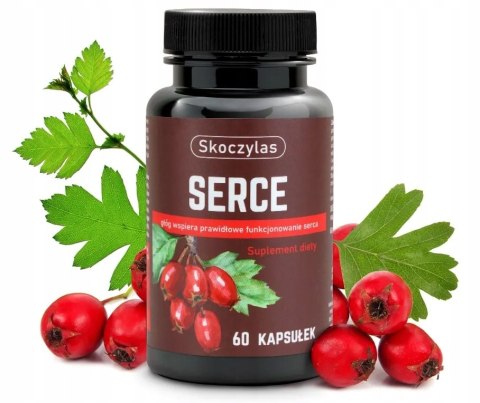 Serce Skoczylas 60 kapsułek Serce Skoczylas 60 kapsułek