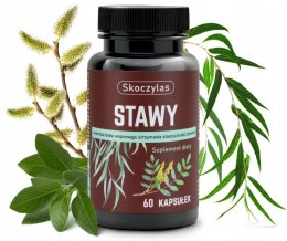 Stawy Skoczylas 60 kapsułek