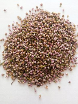 Wrzos kwiat 50g Ziolowe_podlasie MAGROU